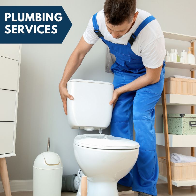 Plumbing Company in Hickory Corners, MI
